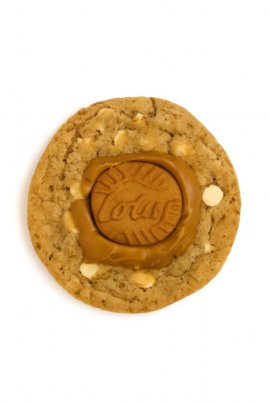 Biscoff Babe (Biscoff)
